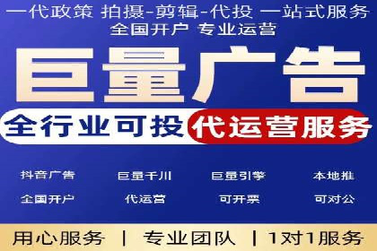 搜索引擎优化（SEO）与竞价广告（SEM）的对比案例